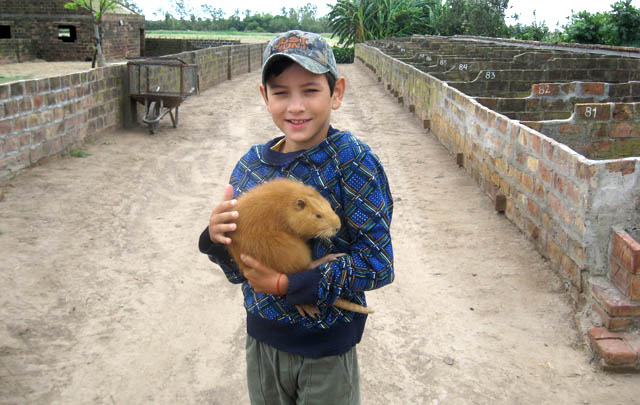 Los criaderos de nutrias han disminuido con el paso de los años en Miramar.