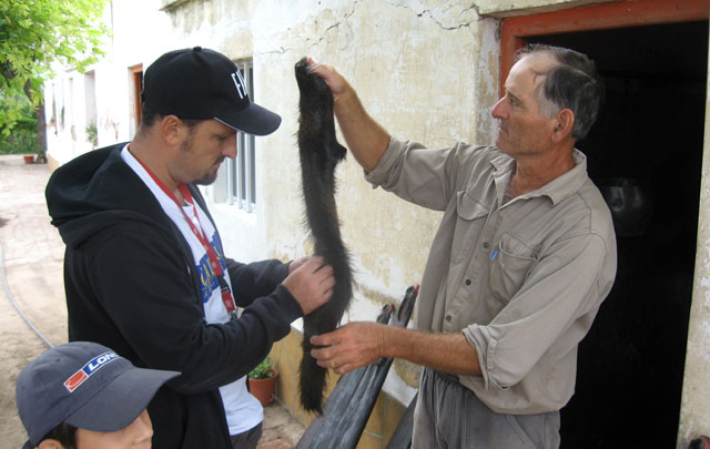 Los criaderos de nutrias han disminuido con el paso de los años en Miramar.