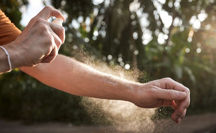 Sigue la dificultad para conseguir repelente y prevenir el dengue.