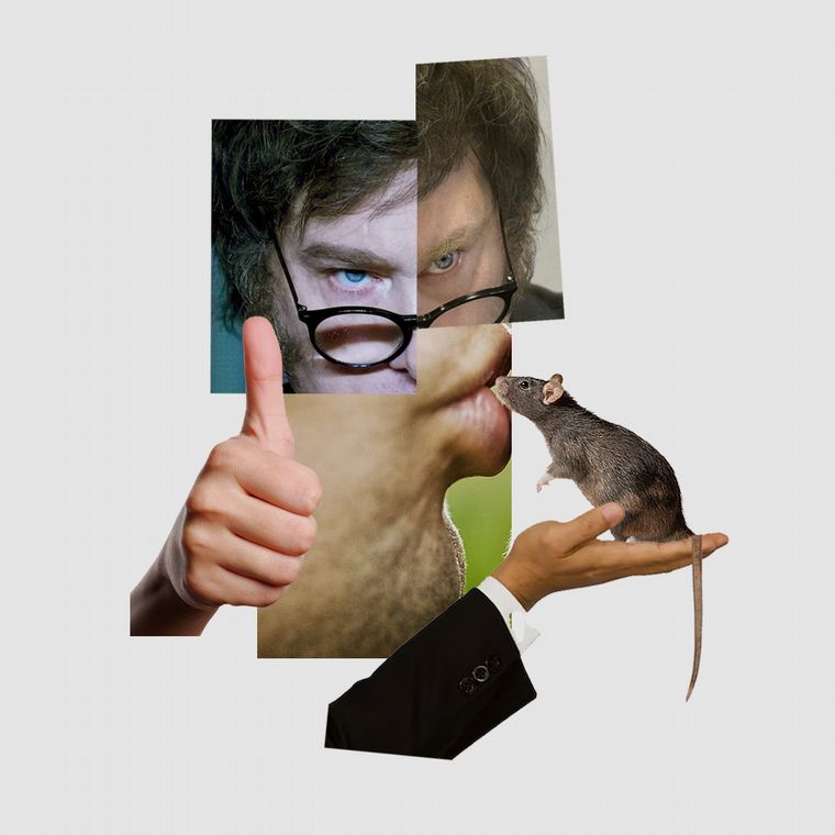 Fotoilustración: Juan Pérez Gaudio.