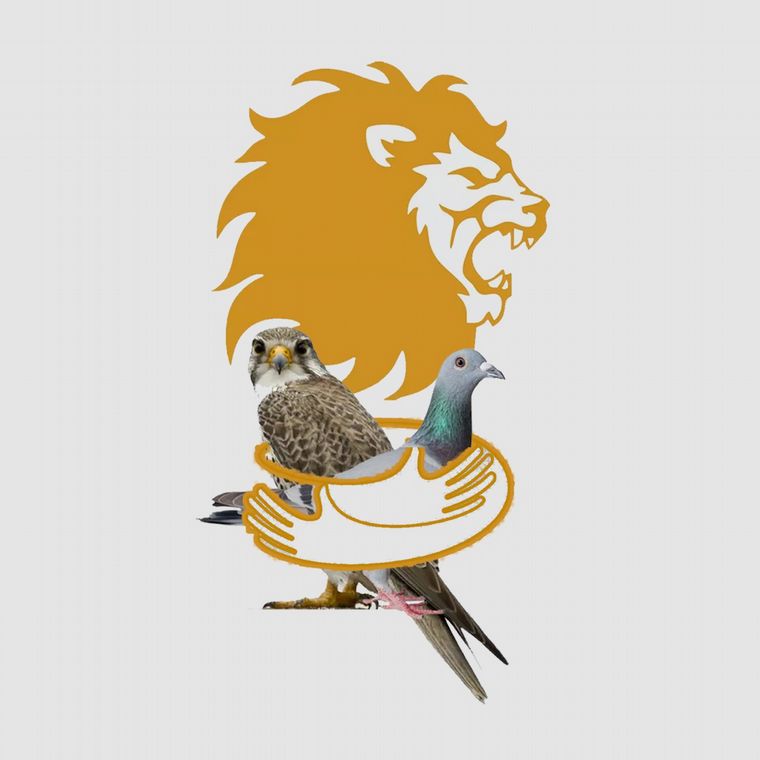 Fotoilustración: Juan Pérez Gaudio.