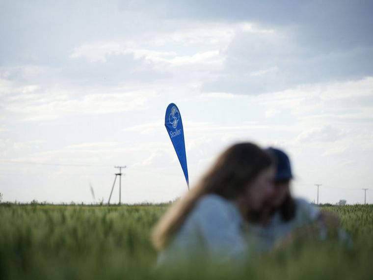 FOTO: En A Todo Trigo, Stoller presentará Blue-N, una bacteria fijadora de nitrógeno