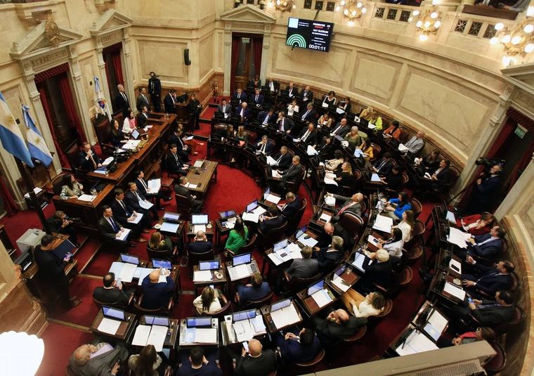 FOTO: El Senado inició el tratamiento de la ley de Bases y el paquete fiscal (Foto: NA)