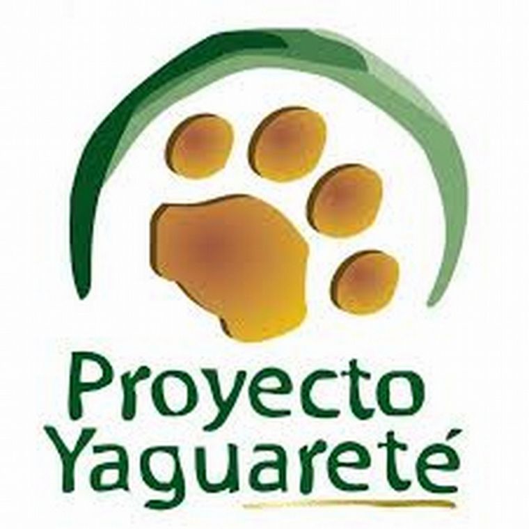 Proyecto yaguareté: en búsqueda de asegurar la conservación de la población