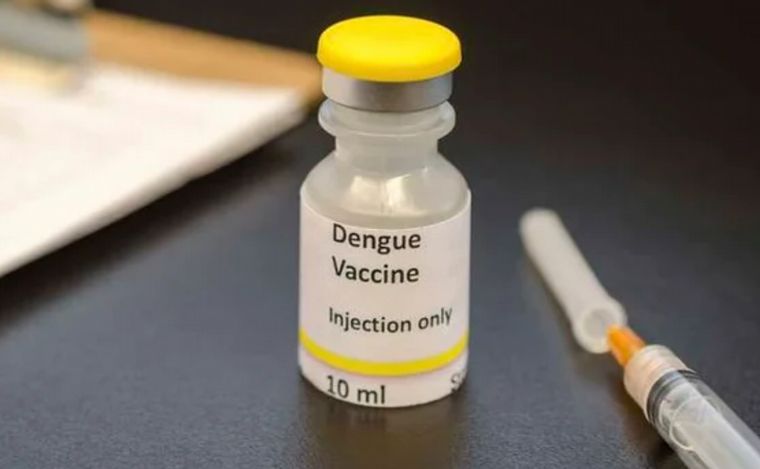FOTO: El Gobierno incorporará la vacuna del dengue.