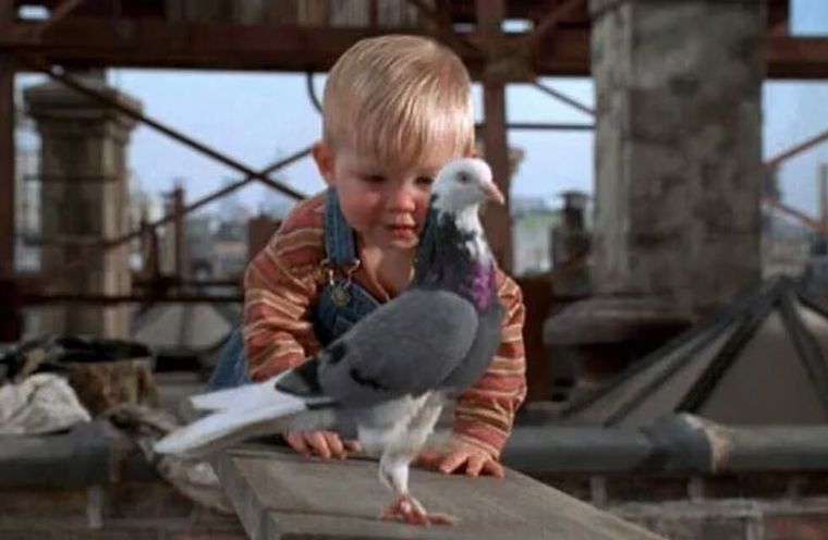 Gateando ,llegó al último piso de un edificio en construcción.