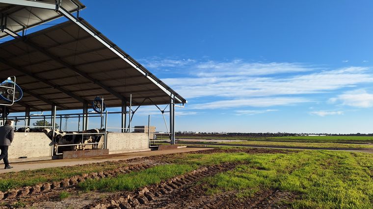 Freyre, un pueblo que vive a otro ritmo.