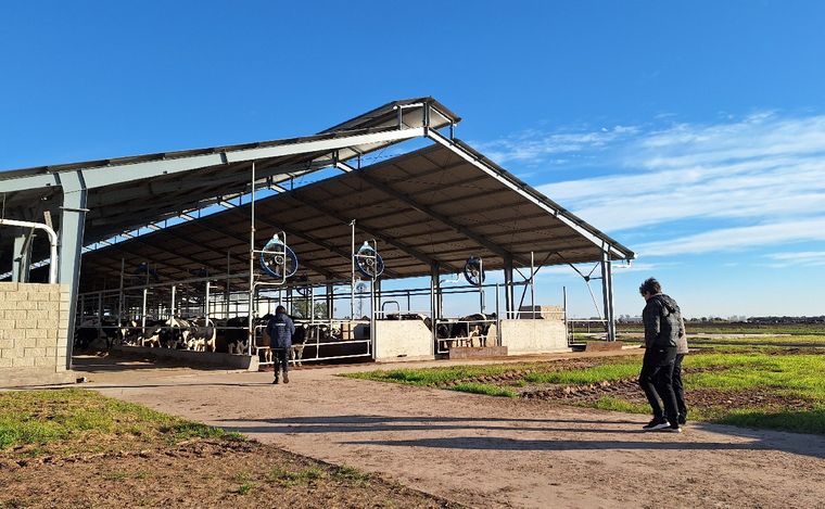 Manfrey, polo de producción en Freyre. (Foto: Marcelo Cáceres/Cadena 3)