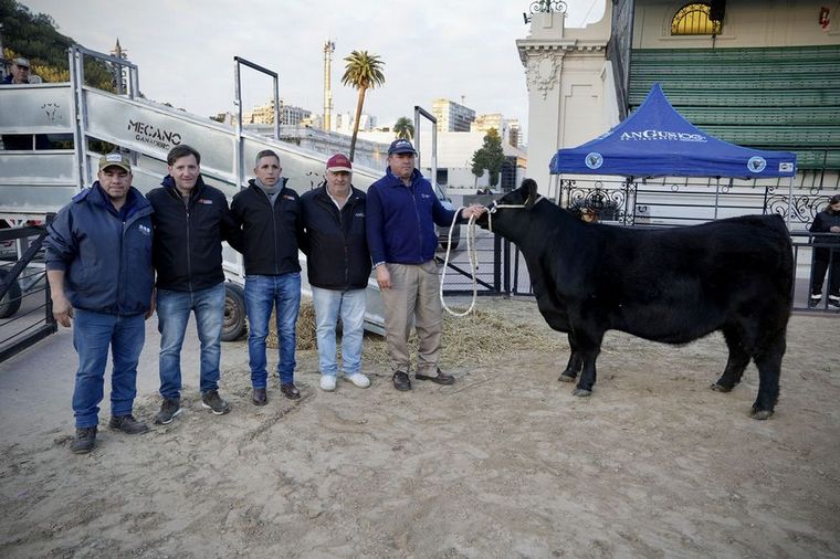 "Fiesta", el primer ejemplar ingresado el evento.