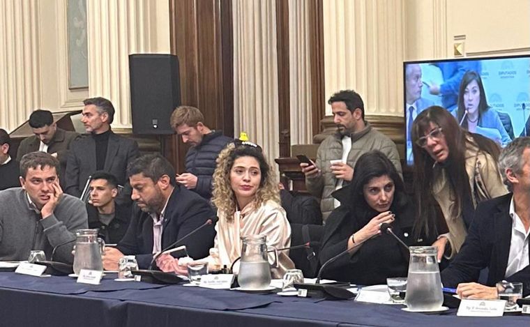 Lourdes Arrieta, diputada de La Libertad Avanza.