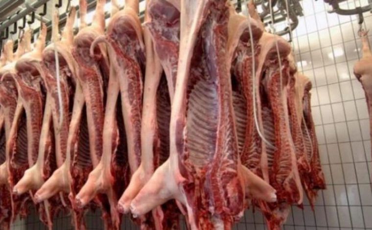 Paladini exportará carne de cerdo a Uruguay.