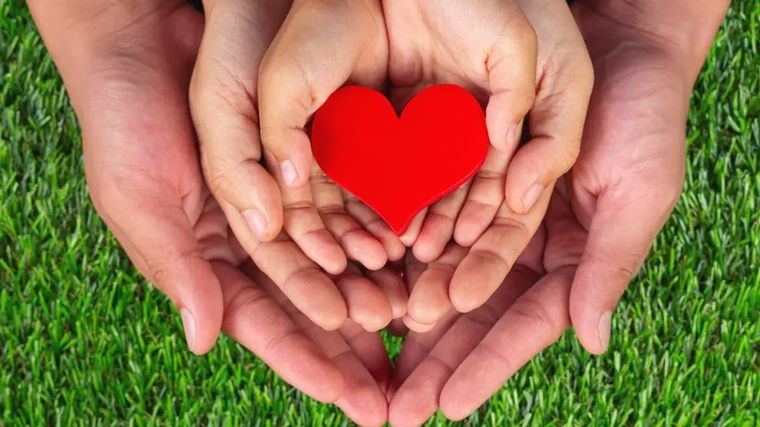 Día Nacional de la Donación de Órganos: ¿por qué se celebra el 30 de mayo?