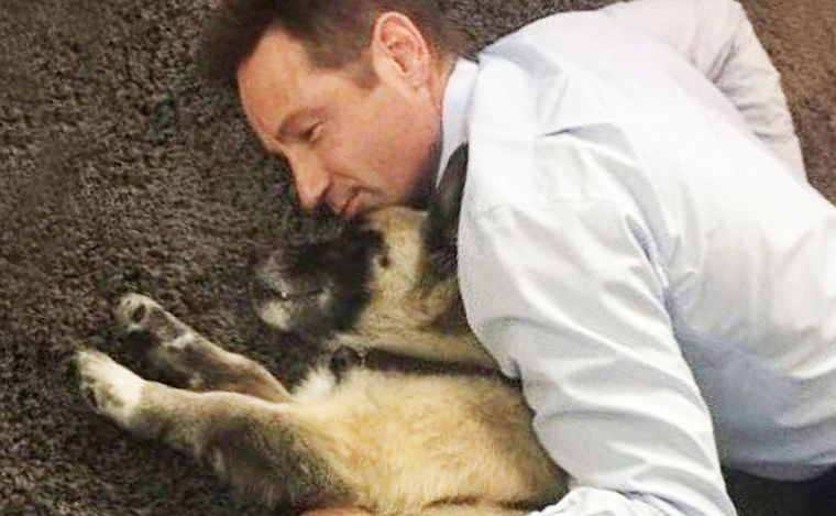 David publicó en sus redes una foto junto a Brick y una sentida despedida.