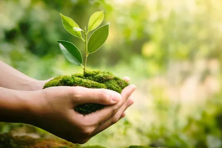 Los alumnos se propusieron proteger el planeta.
