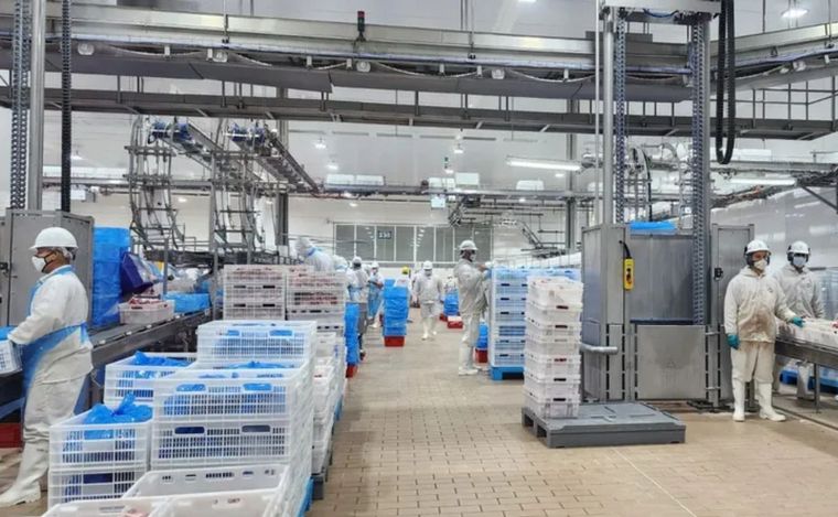 Paladini invierte para ampliar sus operaciones.