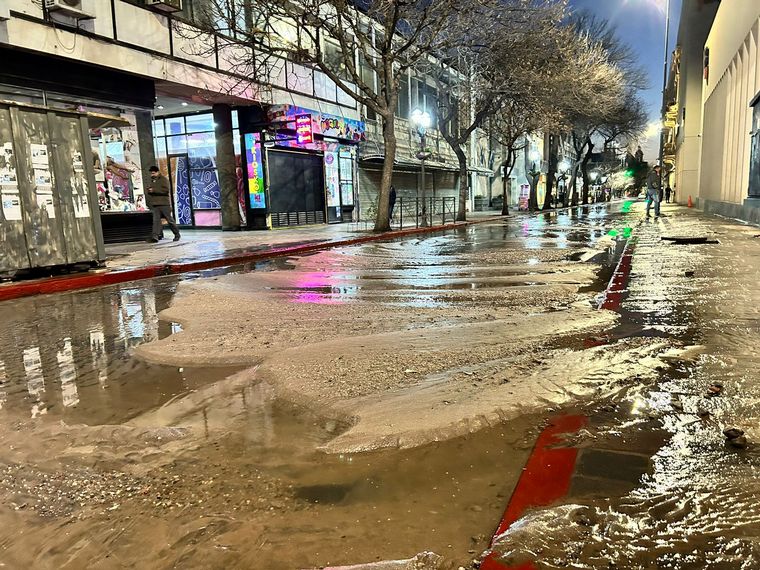 Buenos Aires al 100, 