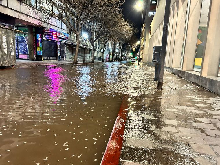 Buenos Aires al 100, 