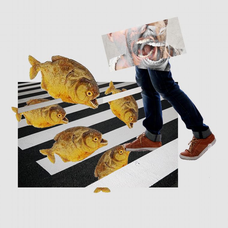 Fotoilustración Juan Pérez Gaudio.