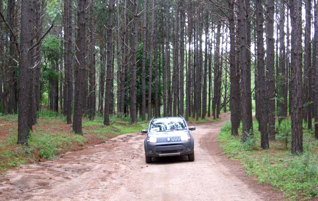 La localidad de Alpa Corral ofrece bellas postales naturales a cada paso.