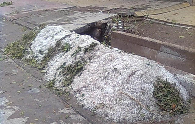 Una gran cantidad de granizo quedó acumulada junto a una alcantarilla.