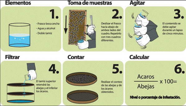 Pasos a seguir en el muestreo del frasco.