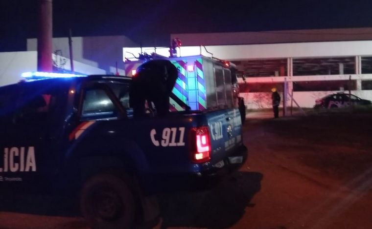 El animal fue remitido a la base de operaciones, donde lo atendió un veterinario.