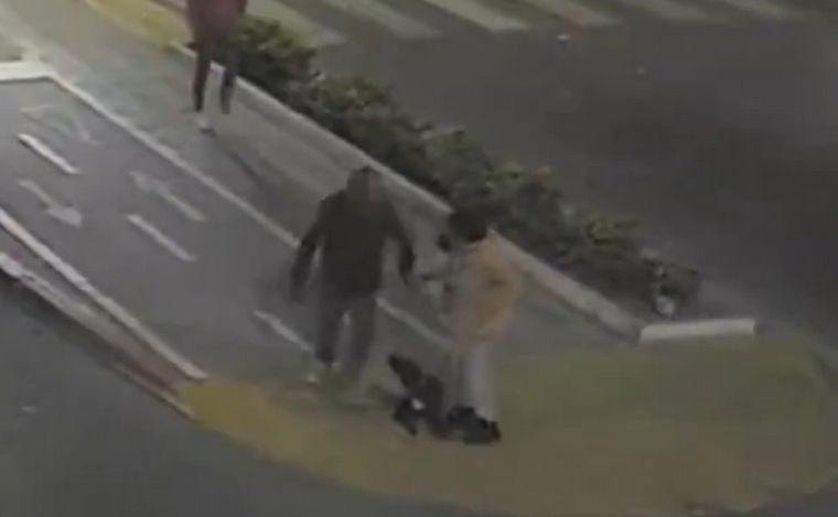 Córdoba: detienen a un hombre que quiso robarle el perro a una mujer en pleno centro.