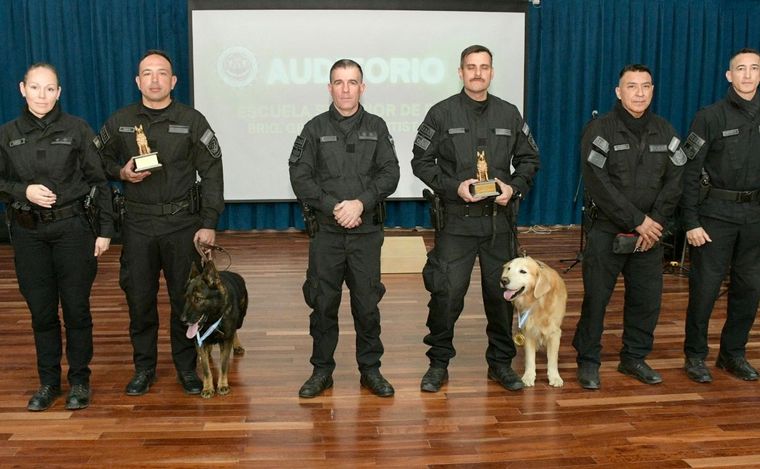 Tango (ovejero alemán) y Valtro (golden retriever). (Foto: Policía de Córdoba)
