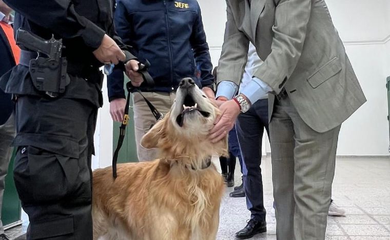 Valtro estuvo nueve años en servicio. (Foto: Policía de Córdoba)