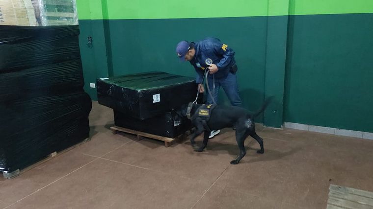 Secuestran más de 650 kilos de marihuana que era enviada en encomiendas. (PFA)