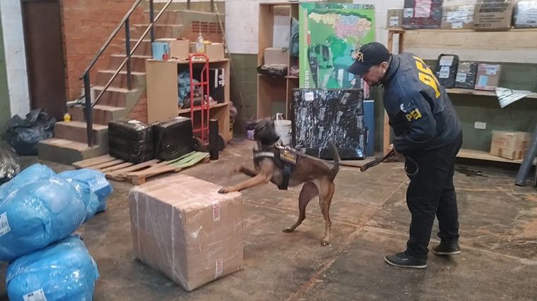 Secuestran más de 650 kilos de marihuana que era enviada en encomiendas. (PFA)
