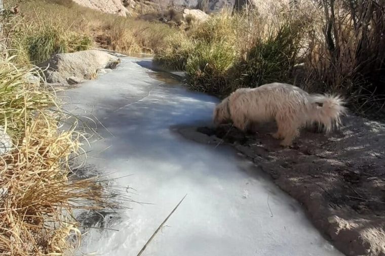 Invierno extremo en Salta: por temperaturas de -12° se congelaron ríos y arroyos