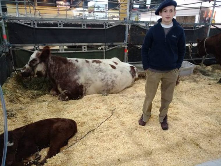 Para el vicepresidente de La Rural es 