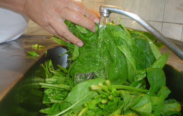 ''Rotolo'' de espinaca y ricota