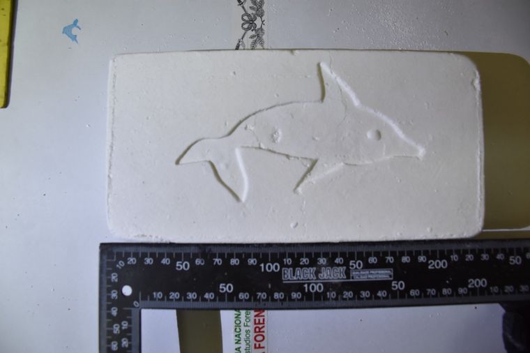 Operativo antidrogas en la ruta 34. (Gendarmería Nacional)