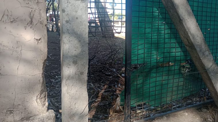 Suspendieron las clases por robos en la escuela Roma. 