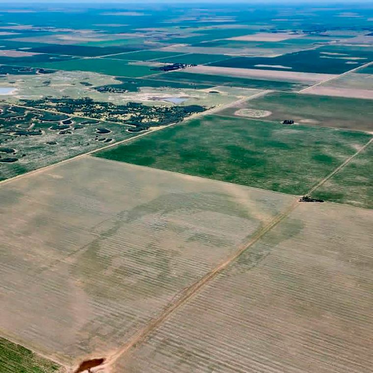 Un ingeniero agrónomo siembra la cara de Messi en campos argentinos (FOTO: gentileza)