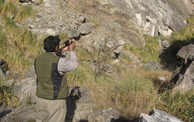 Avistaje de aves, una práctica que cada vez tiene más adeptos en Córdoba