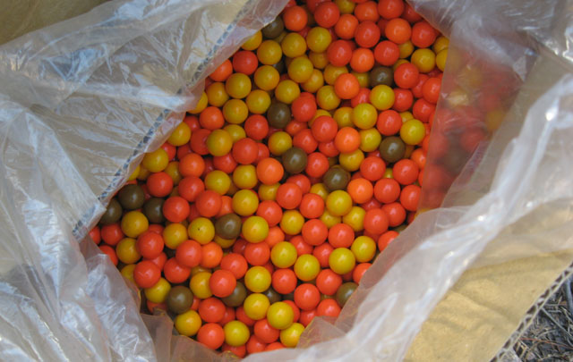 Paint Ball en Estancia el Rosal