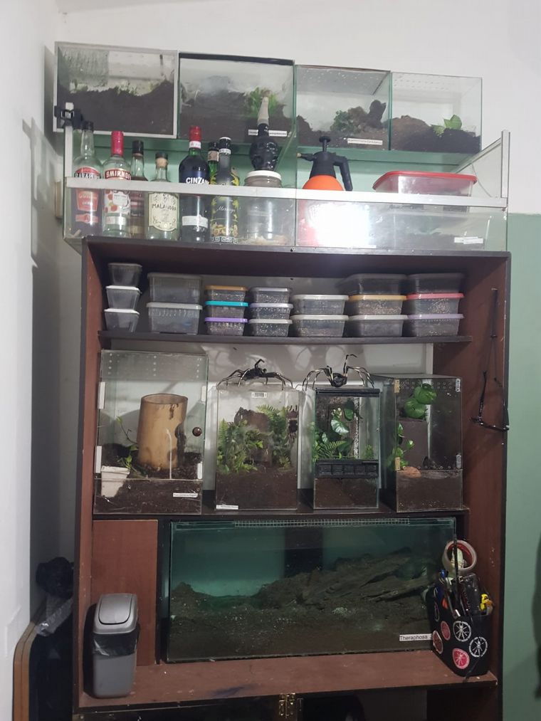 Secuestro de especies exóticas en Córdoba. (Gendarmería)