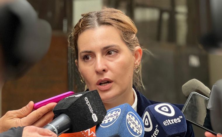 La legisladora provincial del Partido Socialista, Lionella Cattalini.