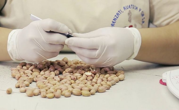 Lorenzati, Ruetsch, maní de Ticino a más de 40 países. (Foto:Lorenzati Ruetsch)