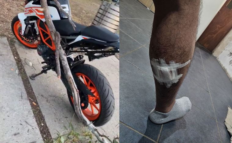 Tomaba mates en Rosario y le cayó una rama: quiere enjuiciar al municipio. 