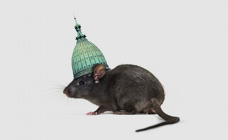 Ilustración: Juan Pérez Gaudio