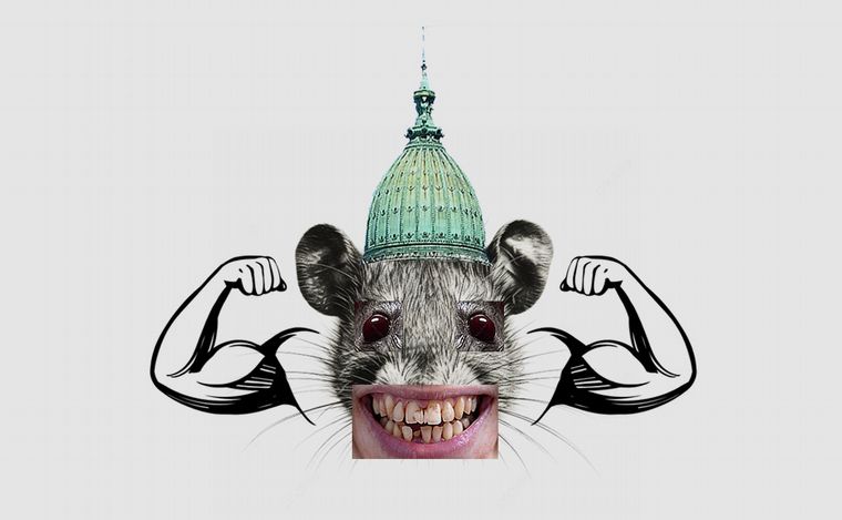 Fotoilustración Juan Pérez Gaudio.