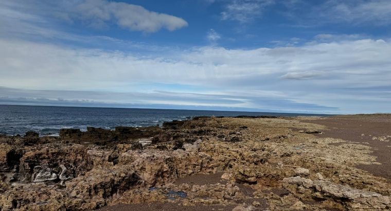 Estos son los terrenos en donde irán las próximas construcciónes