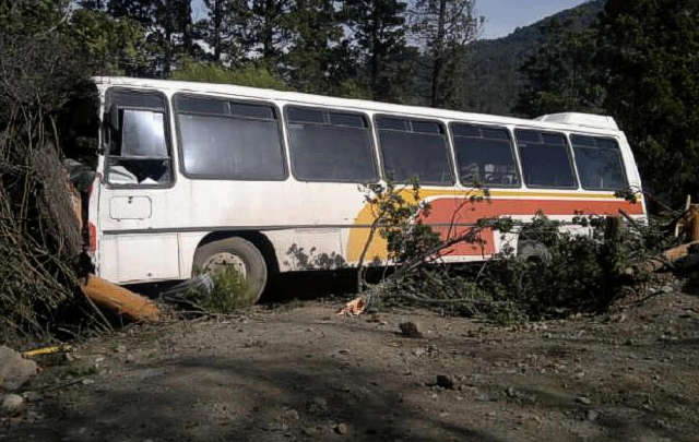 Un ciprés evitó la caída de los ladrones al barranco (Foto Rionegro.com.ar)