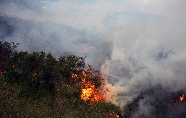 FOTO: El combate contra el fuego demanda enormes esfuerzos humanos y económicos.
