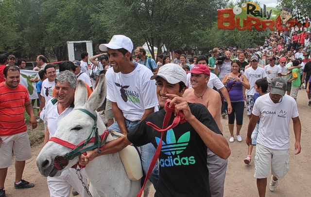 ''Jurulo'', el burro ganador de la sexta edición de una carera que ya es un clásico.