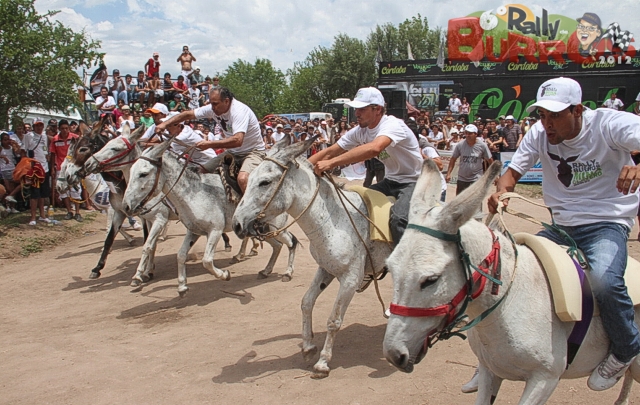 ''Jurulo'', el burro ganador de la sexta edición.